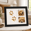 DIY Pet Paw Print Memory Maker 🐾