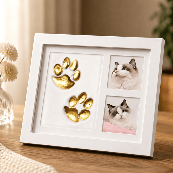 DIY Pet Paw Print Memory Maker 🐾