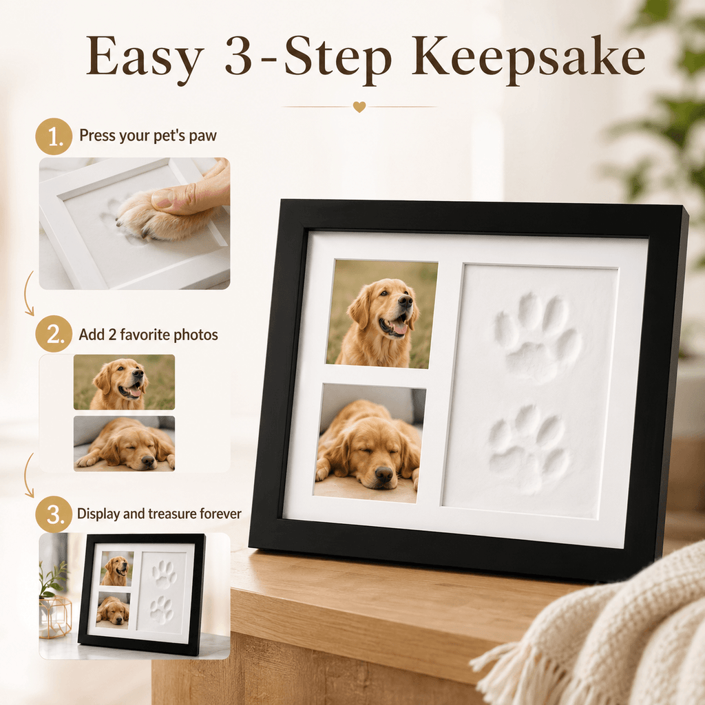 DIY Pet Paw Print Memory Maker 🐾