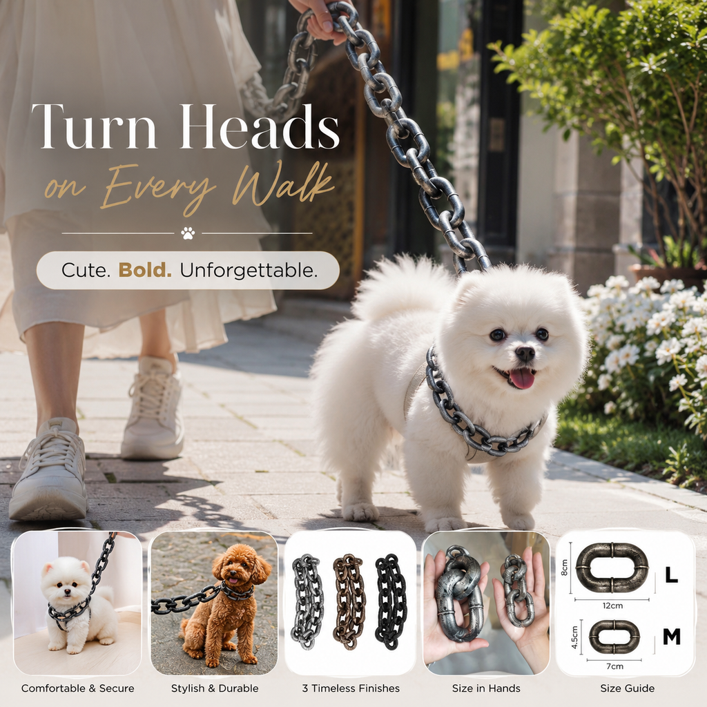 Chunky Iron-Style Dog Leash 🐶⛓️✨