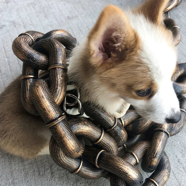 Chunky Iron-Style Dog Leash 🐶⛓️✨