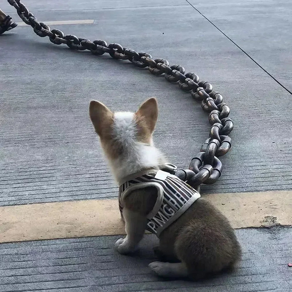 Chunky Iron-Style Dog Leash 🐶⛓️✨