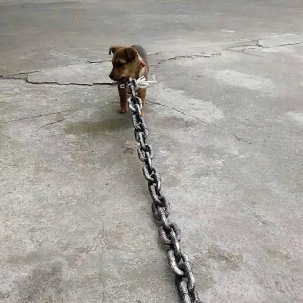 Chunky Iron-Style Dog Leash 🐶⛓️✨