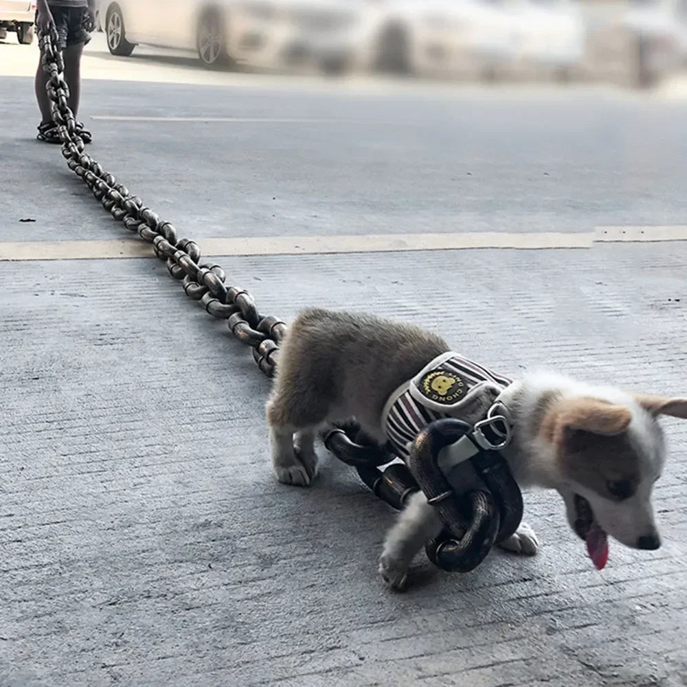 Chunky Iron-Style Dog Leash 🐶⛓️✨