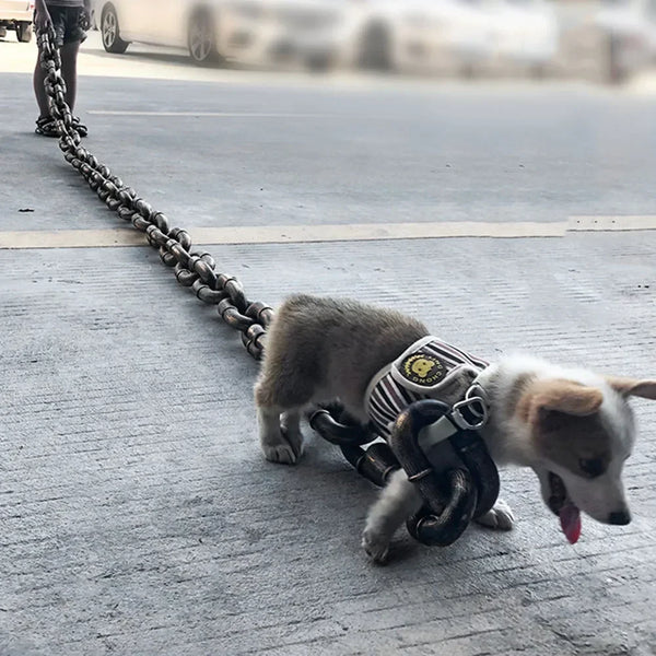 Chunky Iron-Style Dog Leash 🐶⛓️✨