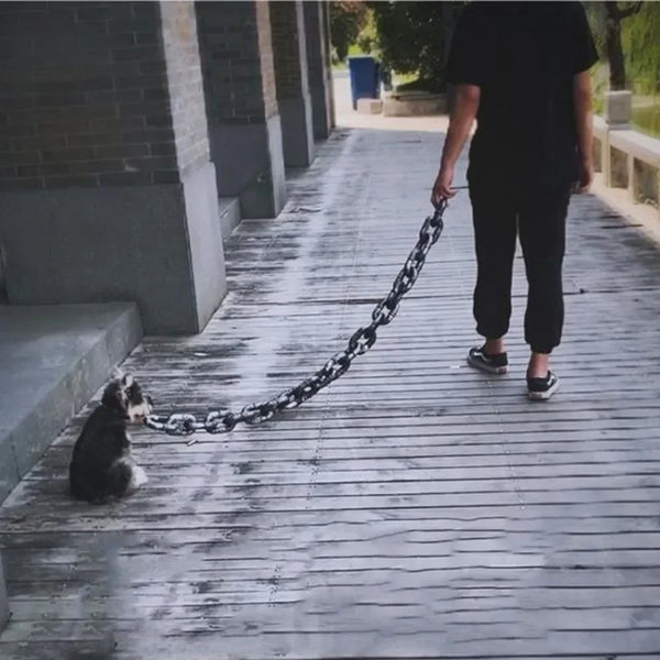 Chunky Iron-Style Dog Leash 🐶⛓️✨