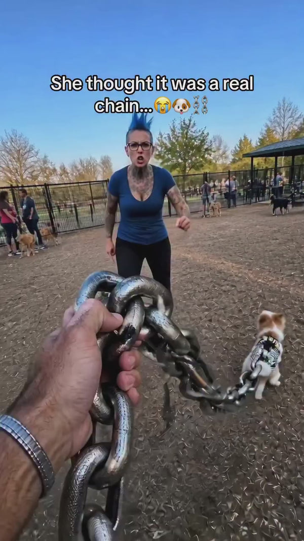 Chunky Iron-Style Dog Leash 🐶⛓️✨